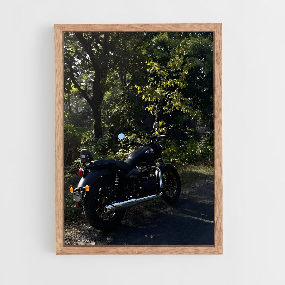 Poster Étoile Ardente Meteor 350 – affiche Royal Enfield (vue 4)
